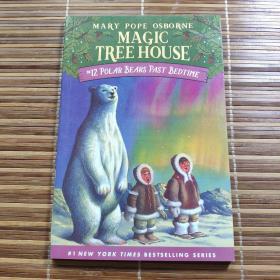 Magic Tree House #12: Polar Bears Past Bedtime 神奇树屋12：北极熊过了睡觉时间