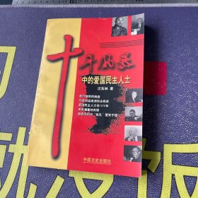 浩劫中的抗争：十年风暴中的爱国民主人士