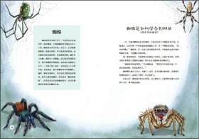 动物在哪里：昆虫和爬行动物的传说[挪威]，莉娜·伦斯勒布拉滕9787020168712