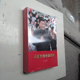 习近平的小康情怀