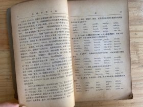 大学法文文法 （民国三十七年六月初版）