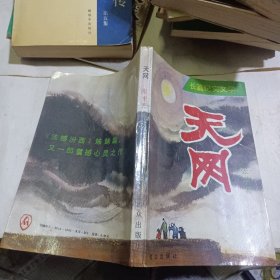 长篇纪实文学,天网