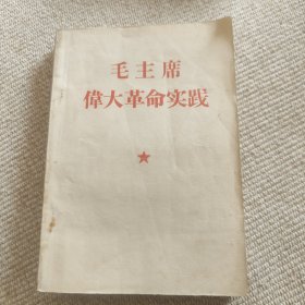 毛主席伟大革命实践