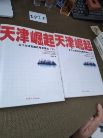 天津崛起：关于天津发展战略的报告（上下）