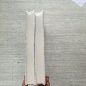 全新未拆封《北朝隋唐史论集》