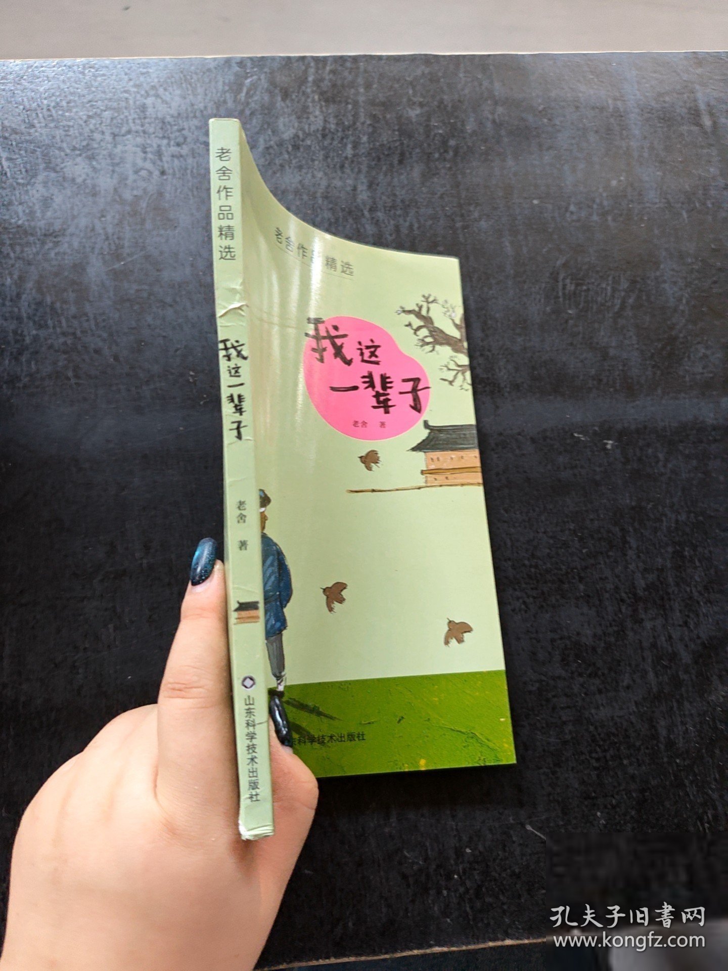 老舍儿童文学精选——我这一辈子 随机发