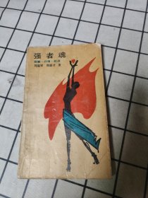 強(qiáng)者魂