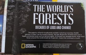 National Geographic国家地理杂志地图系列之2022年5月 The world's forests 世界森林地图