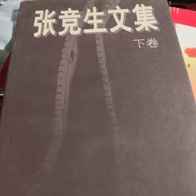 张竞生文集 上下卷