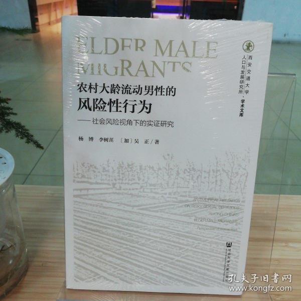 农村大龄流动男性的风险性行为：社会风险视角下的实证研究