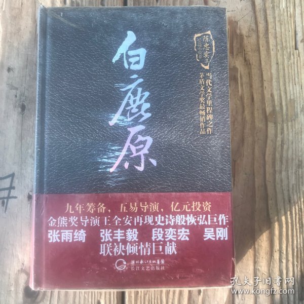 白鹿原（陈忠实集短篇小说卷）