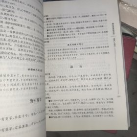 黎伾斋新译：诗经