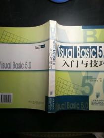 Visual Basic 5.0入门与技巧