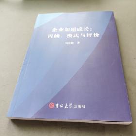 企业加速成长:内涵、模式与评价