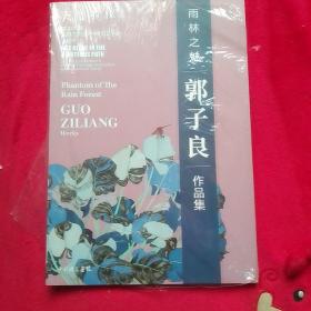 大道不孤——郭子良作品集（全新未拆封）