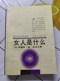 女人是什么 （现代文化学术丛书）