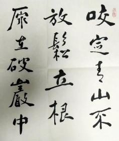 李如彪/辽宁省工笔协会理事 辽阳美协副主席 书法 保真