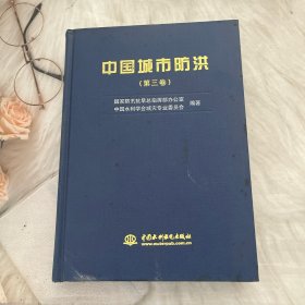 中国城市防洪 第三卷