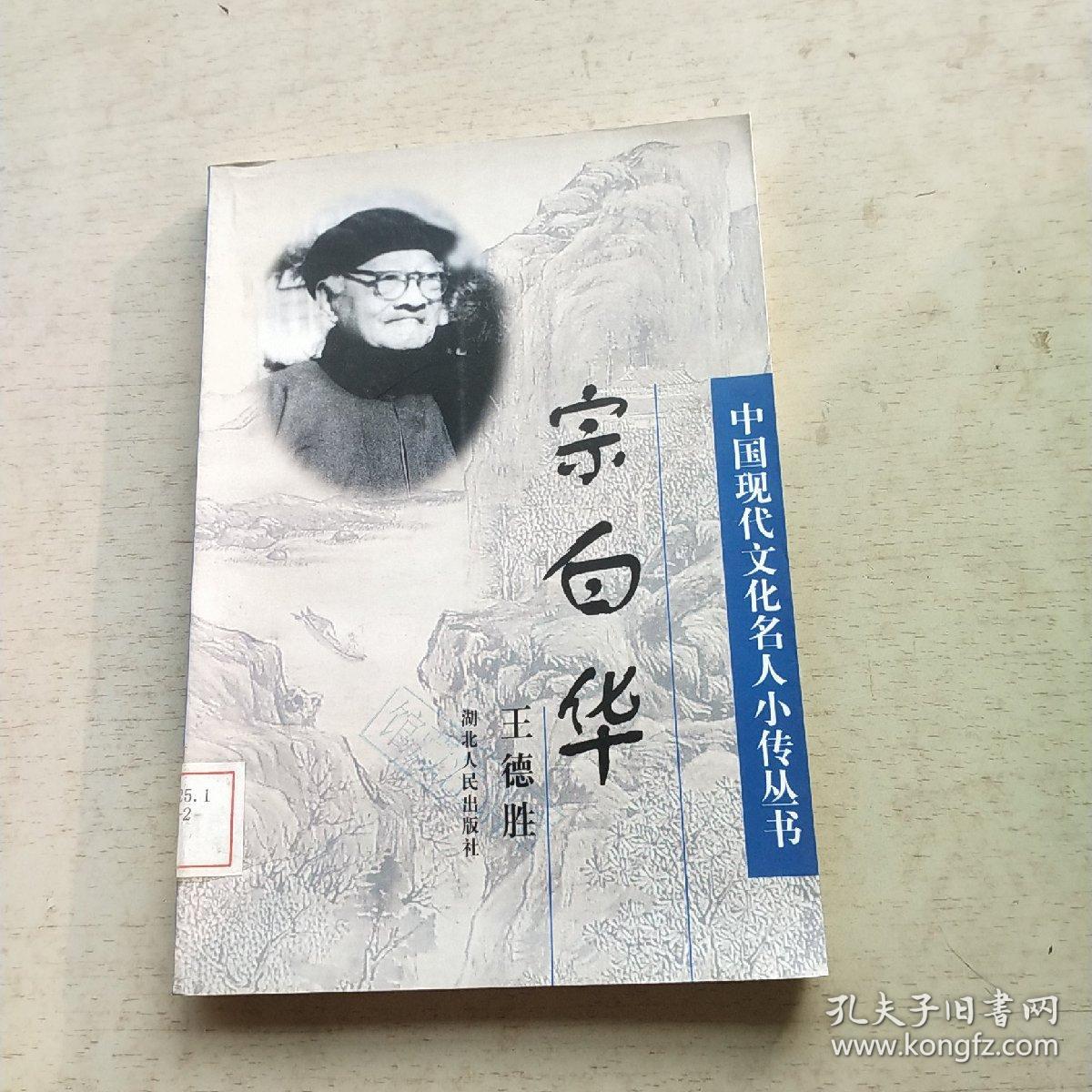 中国现代文化名人小传丛书：宗白华