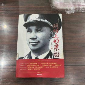 战场上的粟裕
