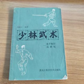 少林武术 连手短打 达摩杖