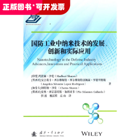 国防工业中纳米技术的发展、创新和实际应用