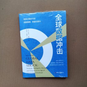 全球数据冲击 : 信息过载时代的战略模糊、欺骗与意外