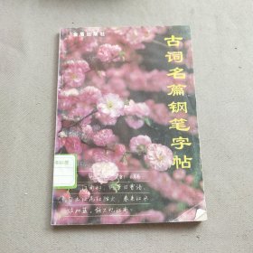 古词名篇钢笔字帖