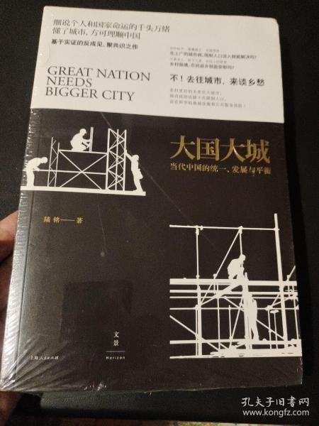 大国大城：当代中国的统一、发展与平衡