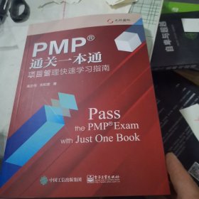 PMP通关一本通：项目管理快速学习指南