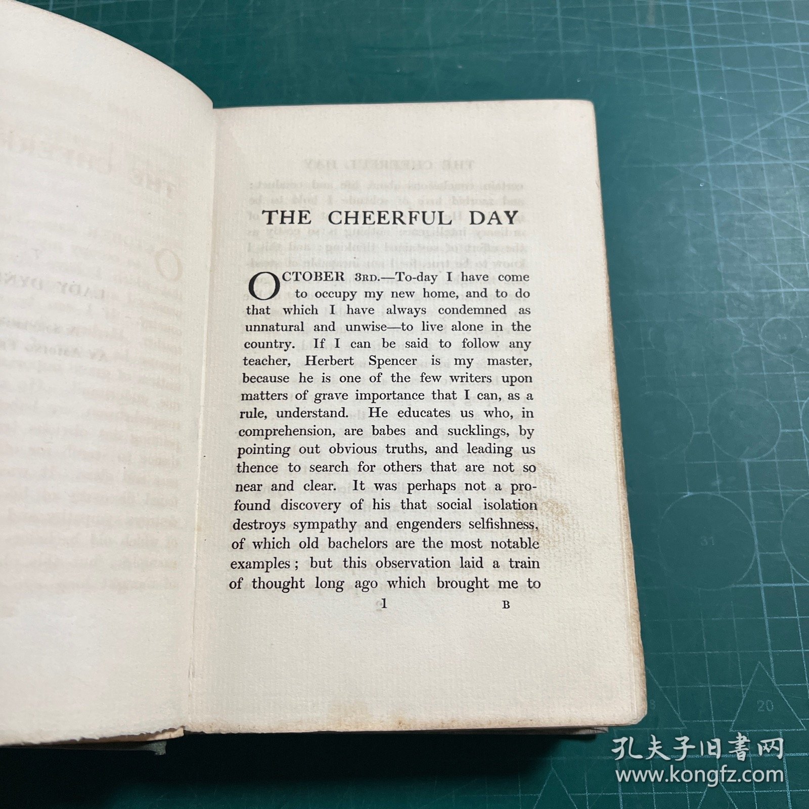 THECHEERFUL DAY（英文原版）［精装］