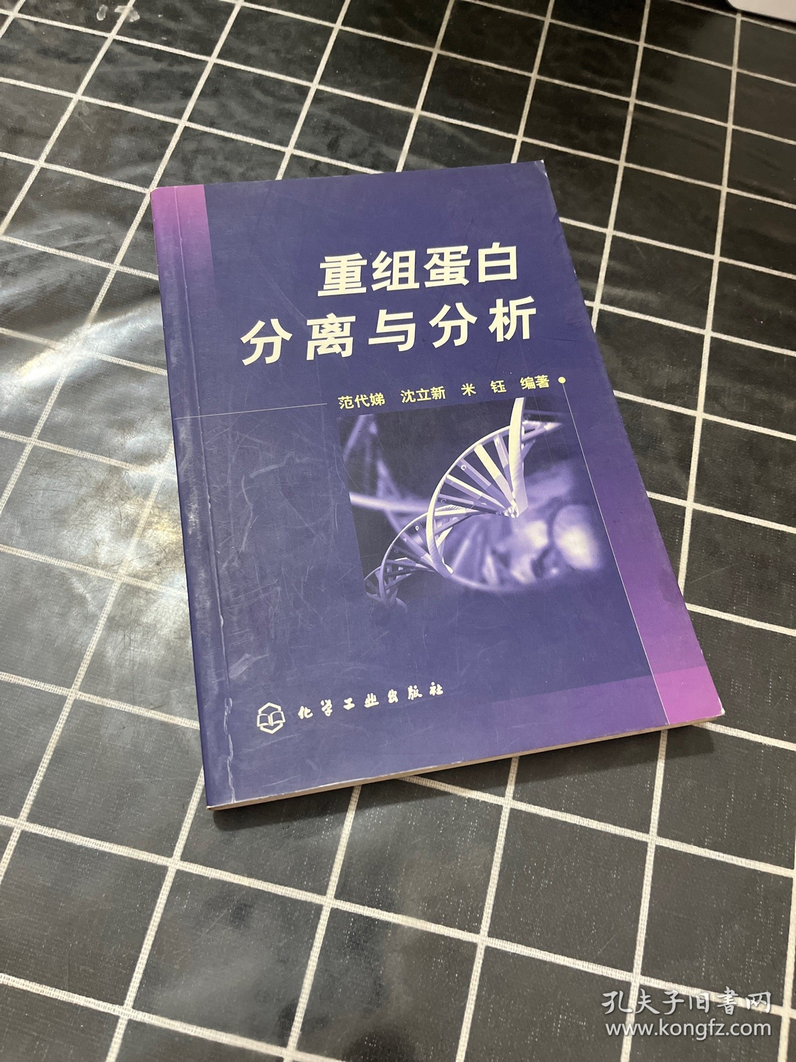 重组蛋白分离与分析