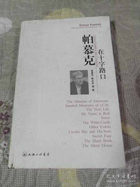 帕慕克在十字路口