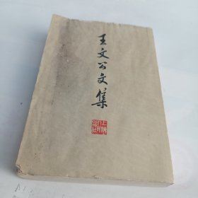 王文公文集(下册)