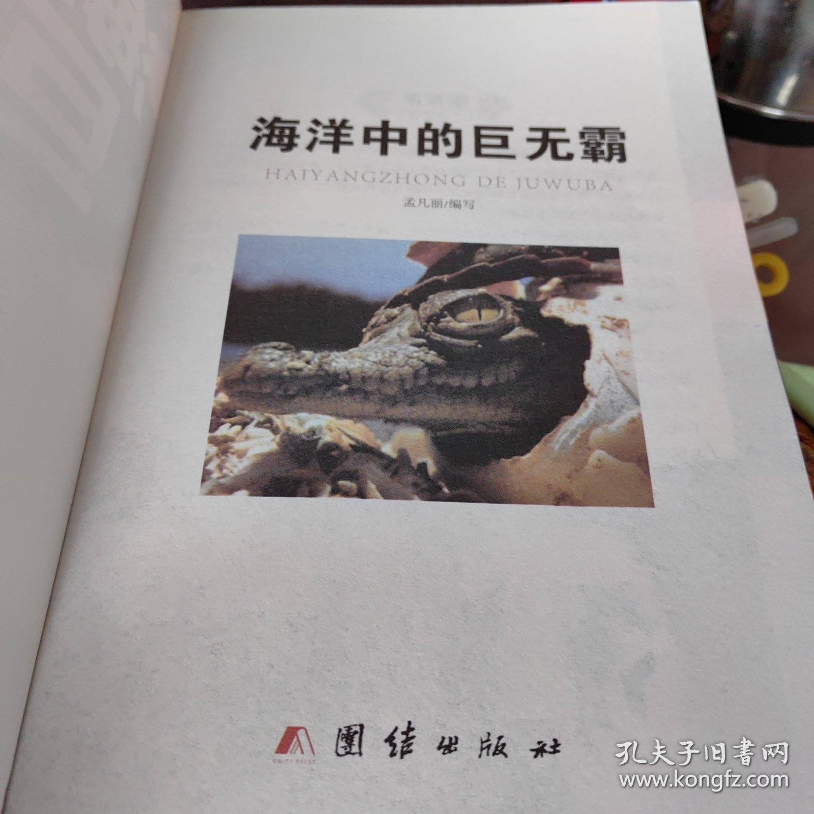 海洋中的巨无霸