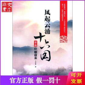 风起云涌十六国（第2部壮丽前秦）