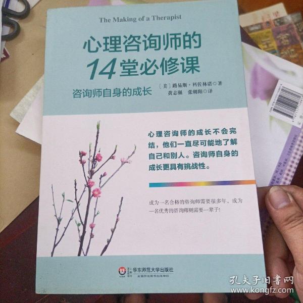 心理咨询师的14堂必修课：咨询师自身的成长