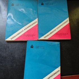 中学数学奥林匹克丛书:立体几何向量及其变换，组合基础，初等数论（三本合售）