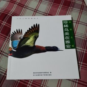 珍稀鸟类在雅安 滋润之城（无盘）