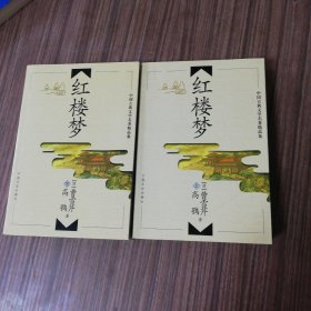 中国古典文学名著精品集红楼梦上下册
