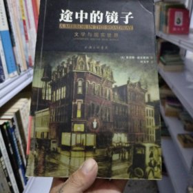 途中的镜子：文学与现实世界