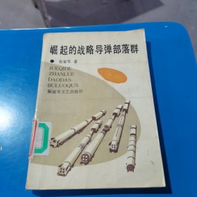 崛起的战略导弹部落群