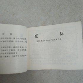 连环画魔林