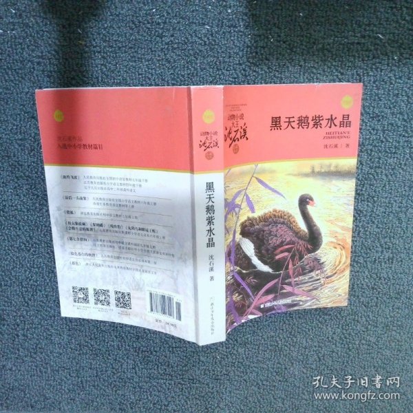 动物小说大王沈石溪·品藏书系：黑天鹅紫水晶