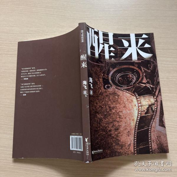 醒来（人民文学奖得主电视剧《麻雀》《惊蛰》原著编剧海飞全新力作）