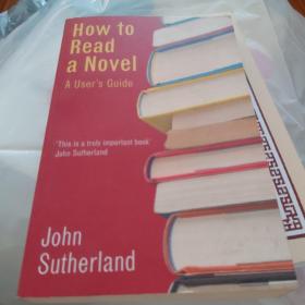 How to read a novel