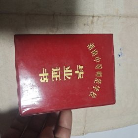 长沙市城北区新河小学毕业证书+学生手册等师范学校毕业证书(同一个人)图案精美