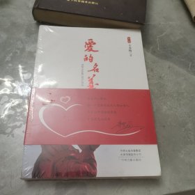 爱的名义