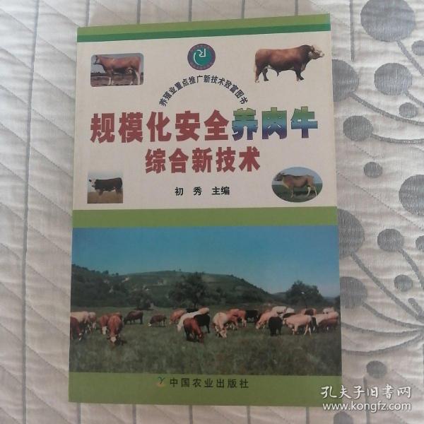 规模化安全养肉牛综合新技术——养殖业重点推广新技术致富图书