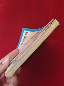 夏洛的网